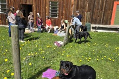IMG-20240413-WA0008